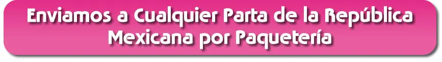 Envíos a Cualquier Parte de la República Mexicana por Paquetería
